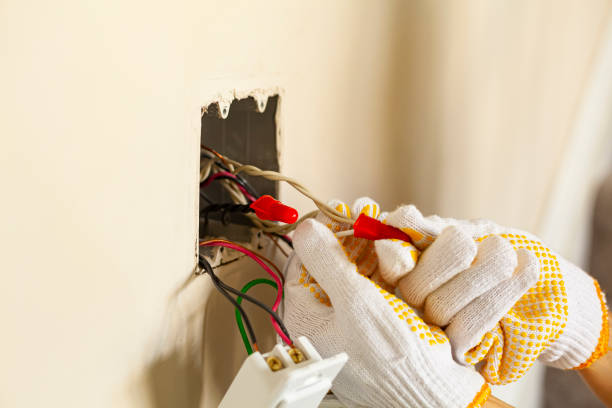 Best Surge Protection Installation  in Brundidge, AL